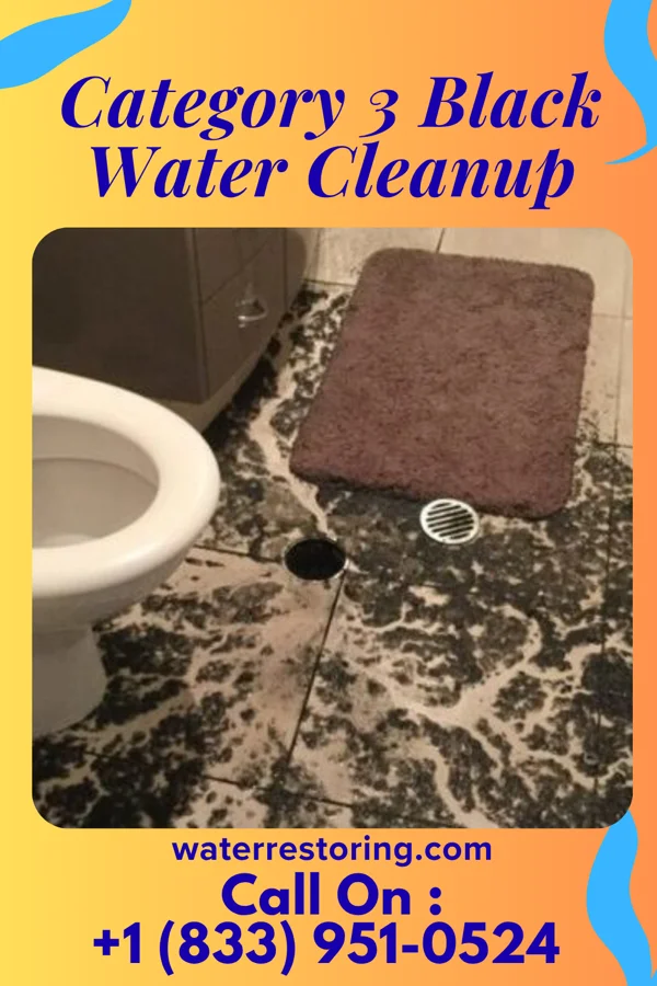 Category 3 Black Water Cleanup in Greenwood, MS