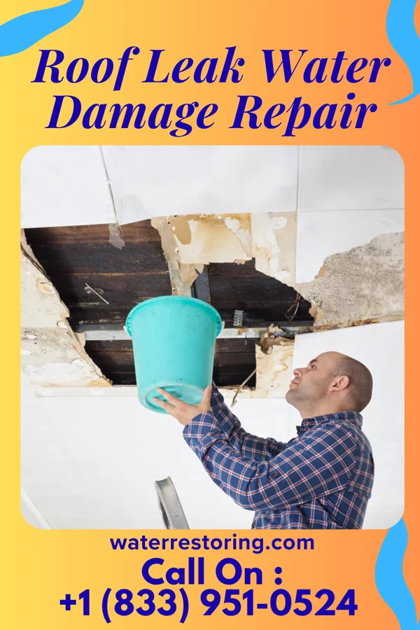 Roof Leak Water Damage Repair in Greenwood, MS