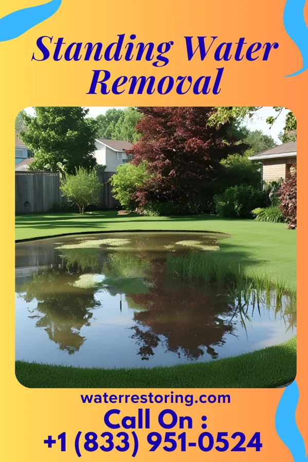 Standing Water Removal in Greenwood, MS